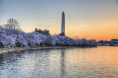 Screenshot 2014-07-01 13.52.06