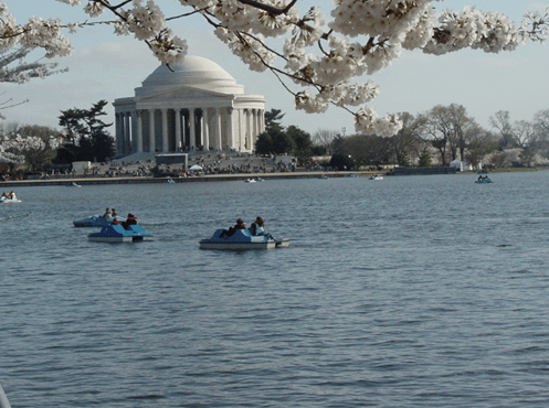 Screenshot 2014-07-16 12.30.20